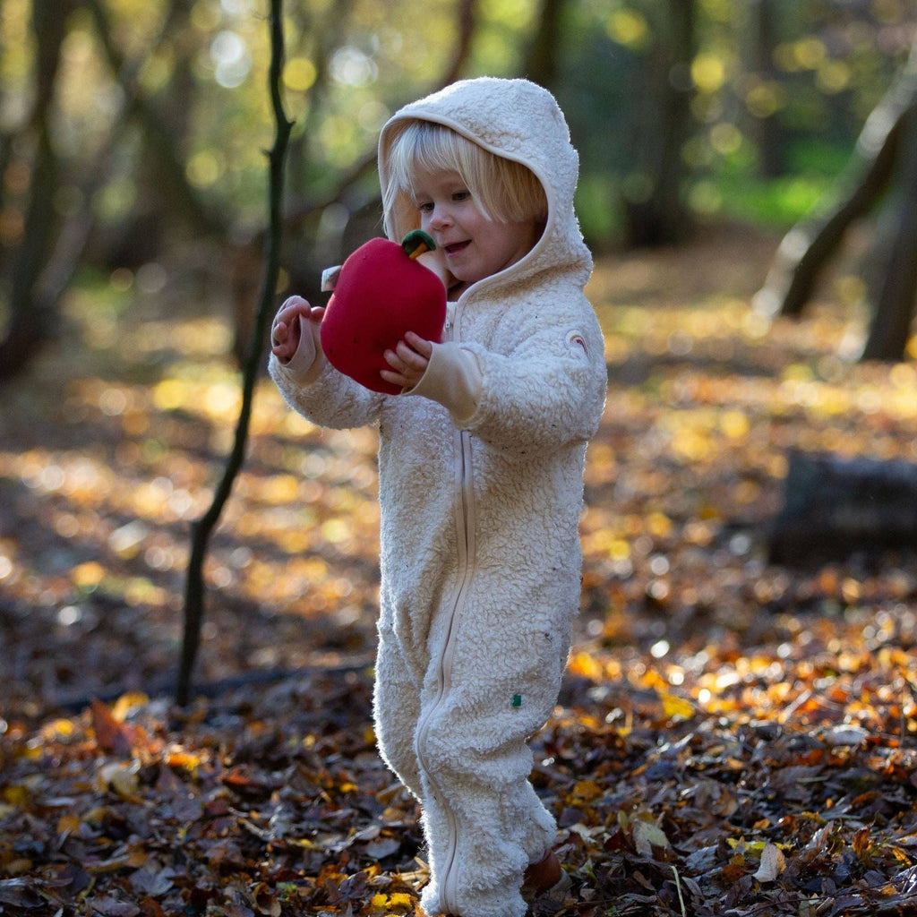 Organic Sherpa Fleece Hooded Snug As A Bug Suit