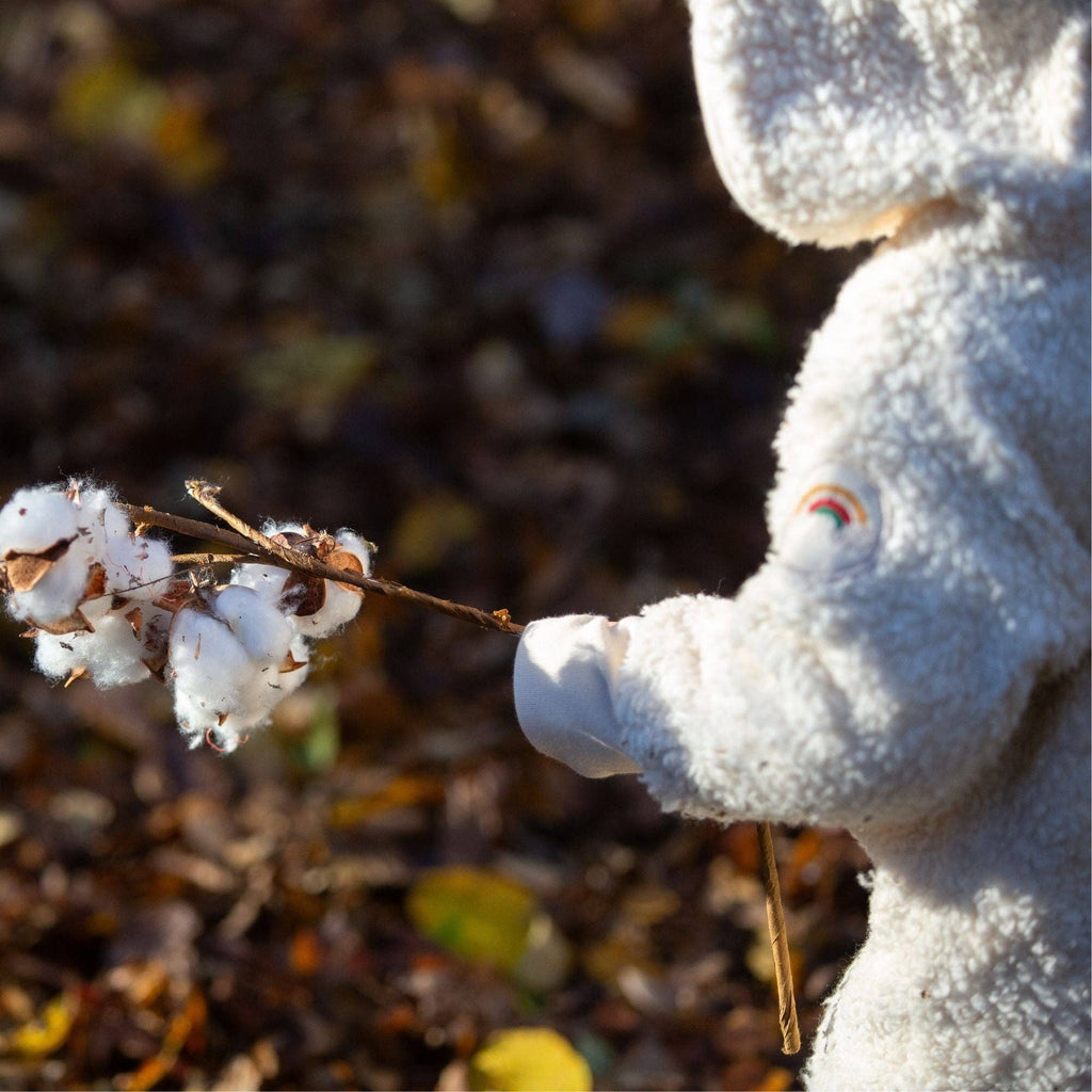 Organic Sherpa Fleece Hooded Snug As A Bug Suit