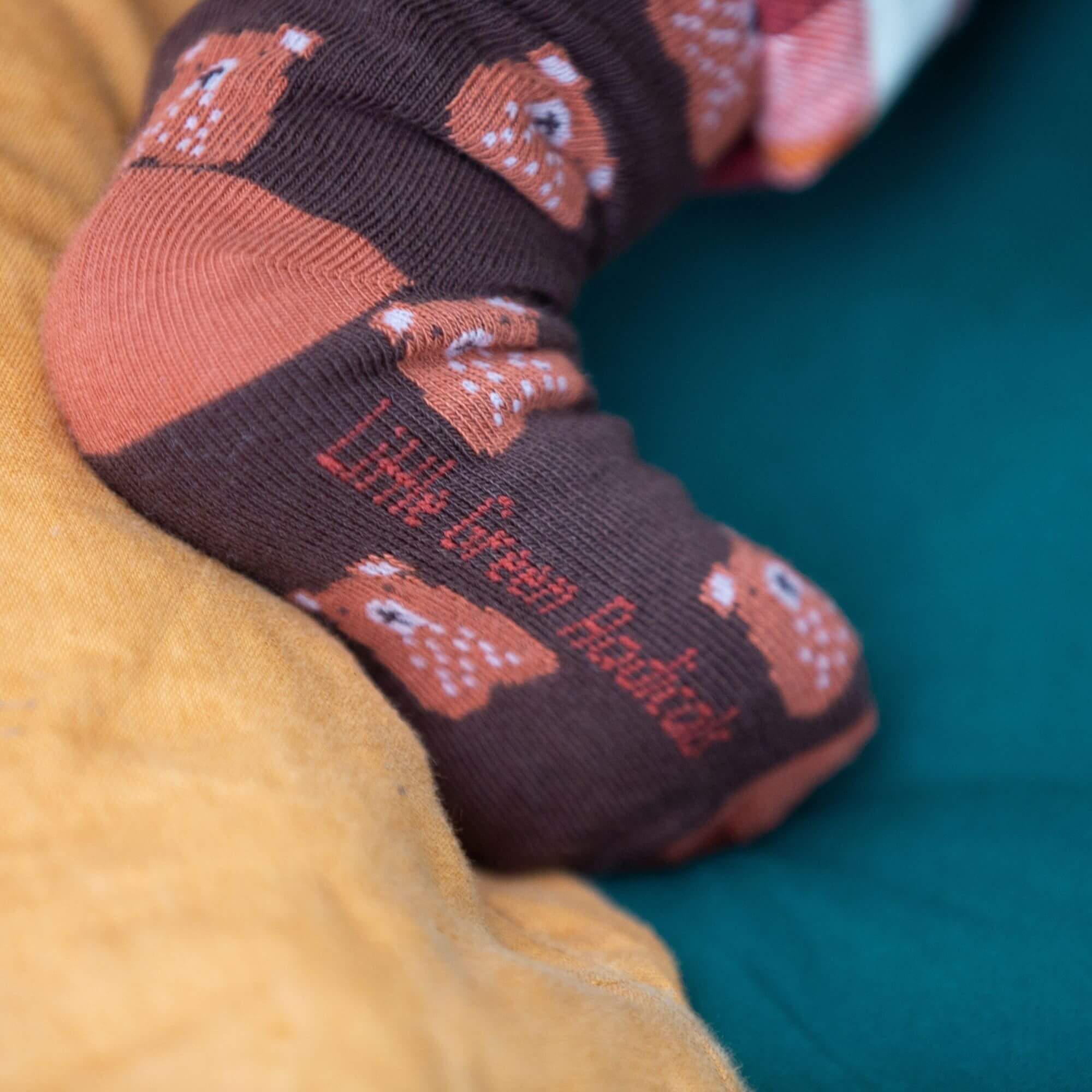 Teddy Bear Ankle Socks - Pack of 3